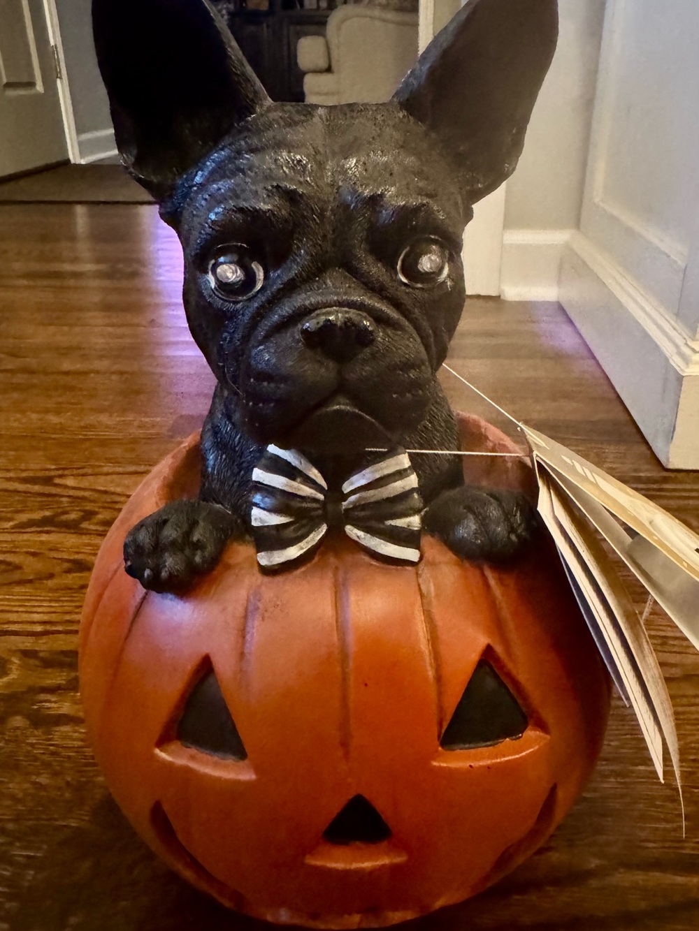 Black French Bulldog With Light Up Eyes In A Pumpkin Figurine